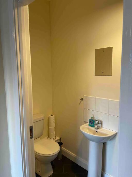 Close To Belfast City Centre.Modern Opened Planned Dış mekan fotoğraf
