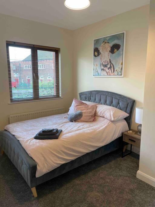 Close To Belfast City Centre.Modern Opened Planned Dış mekan fotoğraf