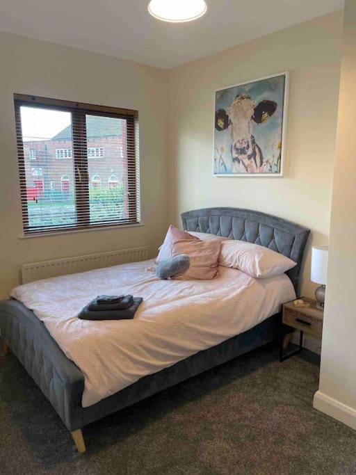 Close To Belfast City Centre.Modern Opened Planned Dış mekan fotoğraf